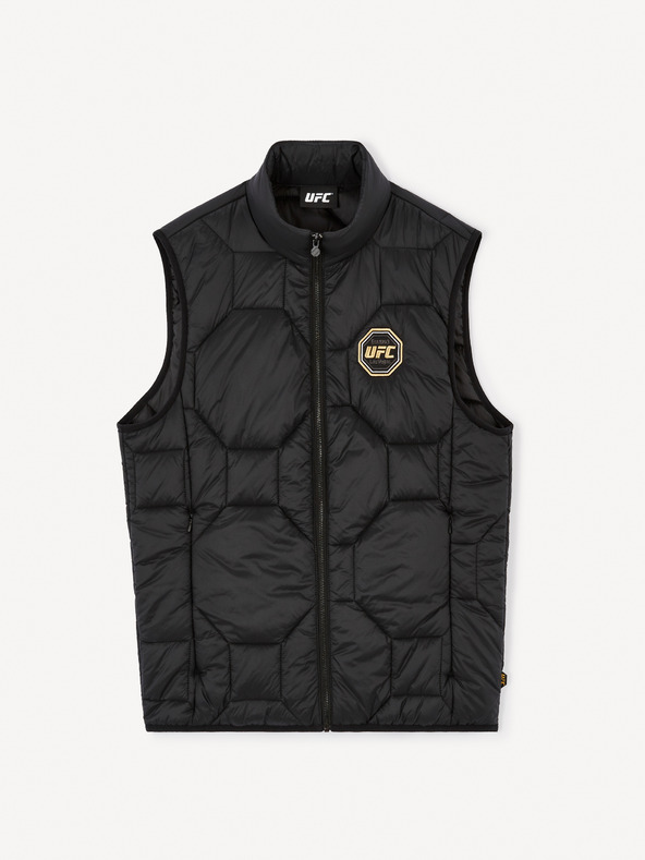 Celio Vesta UFC Celio