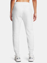 Under Armour Dámske tepláky Under Armour UA Icon Fleece Jogger-GRY