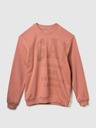 GAP Mikina logo GAP fleece
