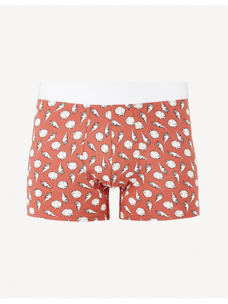 Celio Jiboshell Boxerky
