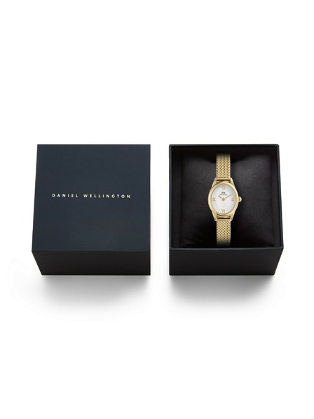 Daniel Wellington Dámske hodinky Daniel Wellington Ophelia Mini mesh oválne DW00100939