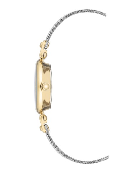 Anne Klein Dámske okrúhle hodinky Anne Klein mesh AK/3003SVTT