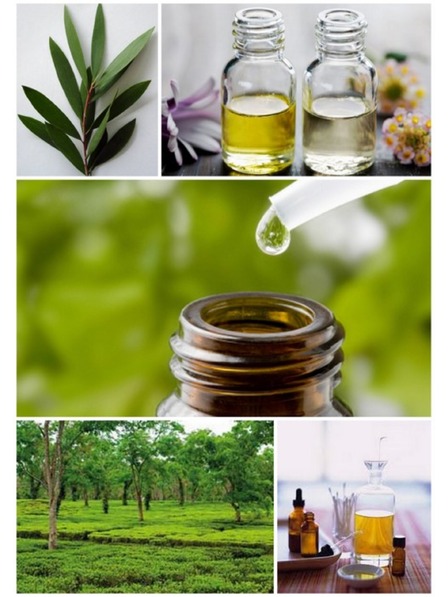 Caribbean Sun Čistiaca soľ na morské hubky Caribbean Sun Tea Tree 400 g