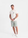 Ombre Clothing Svetlozelené pánske šortky z ľanovej zmesi Ombre Oblečenie