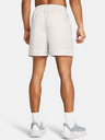 Under Armour Pánske kraťasy Under Armour Curry Woven Short