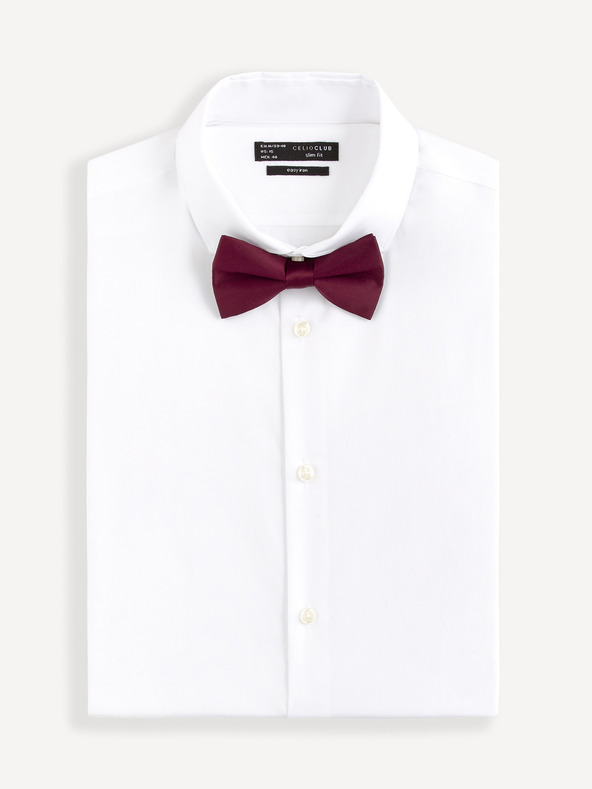 Celio Bibow2 Motýlik