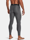 Under Armour Legíny Under Armour HG Armour - sivé.