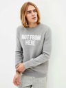 Celio Not From Here Sveter