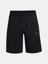 Under Armour UA Baseline 10'' Kraťasy