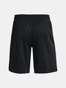Under Armour UA Baseline 10'' Kraťasy
