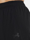 Under Armour UA Baseline 10'' Kraťasy
