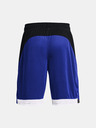 Under Armour Pánske kraťasy Under Armour UA BASELINE 10" SHORT