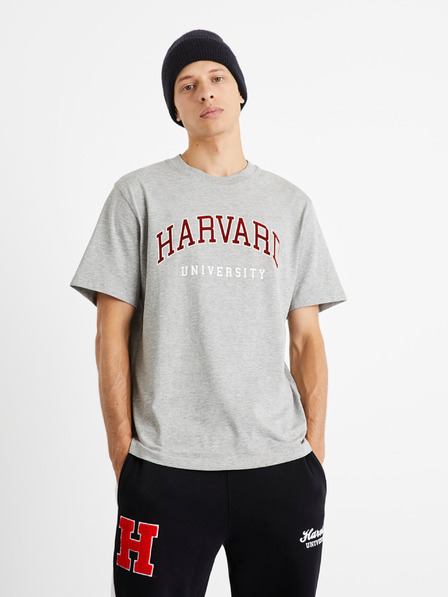 Celio Celio Harvardská univerzita Sivé tričko