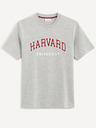 Celio Celio Harvardská univerzita Sivé tričko