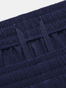 Under Armour Pánske kraťasy Under Armour Pjt Rock Woven Shorts