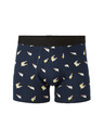 Celio Boxerky Jiborac Celio