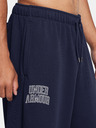 Under Armour Pánske športové nohavice Under Armour UA Icon HWT Terry OS Pant