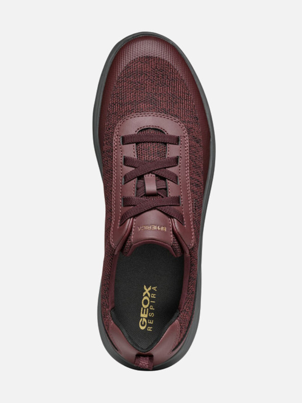 Geox Vínové pánske tenisky Geox Spherica