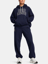 Under Armour Dámska mikina Under Armour UA Icon HWT Terry OS Hdy-BLU
