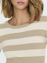 Jacqueline de Yong JDY Plum Beige Women's Striped Sweater