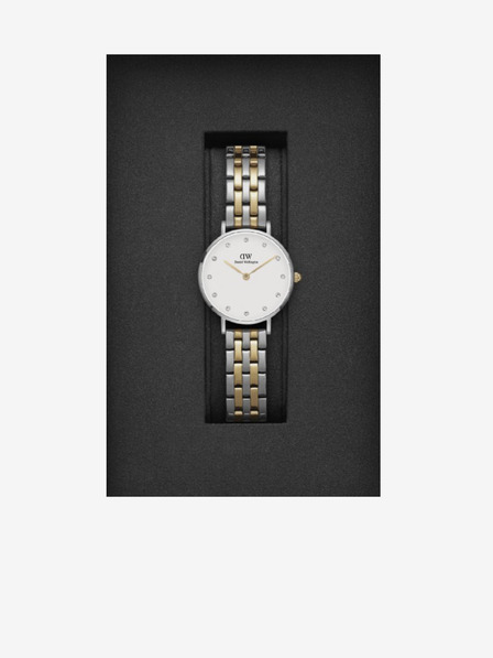 Daniel Wellington Dámske hodinky Daniel Wellington PETITE LUMINE v striebornej farbe