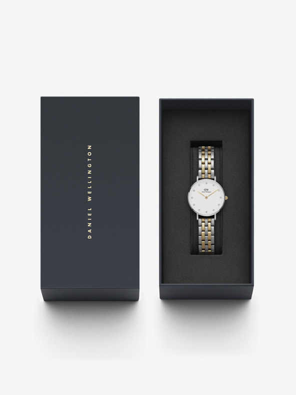 Daniel Wellington Dámske hodinky Daniel Wellington PETITE LUMINE v striebornej farbe