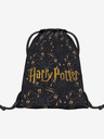 BAAGL  Modrá Baagl Harry Potter Harry Potter Pobertov plánovač