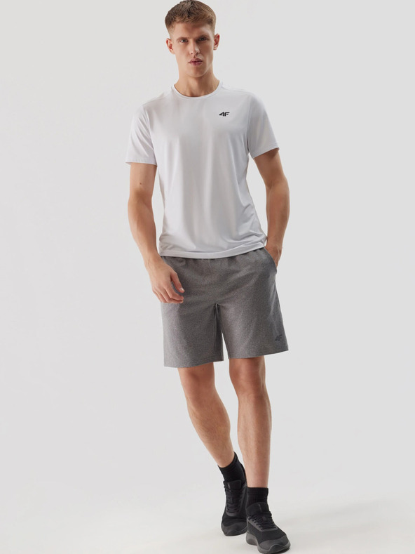 4F Pánske športové rýchloschnúce šortky 4F