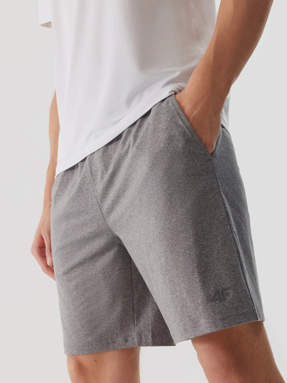 4F Pánske športové rýchloschnúce šortky 4F