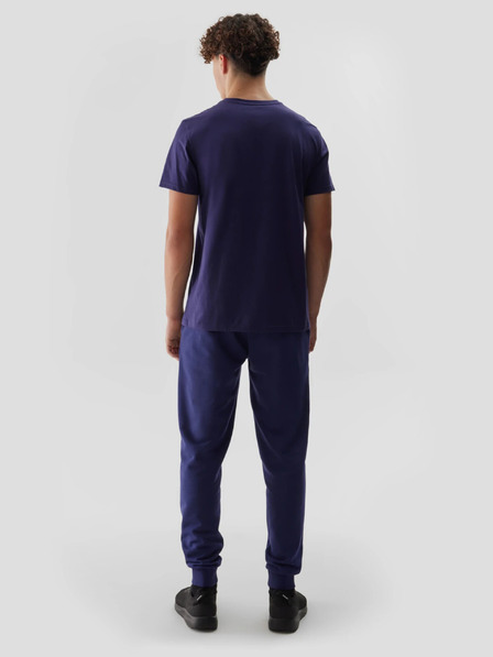 4F Pánske tepláky jogger 4F