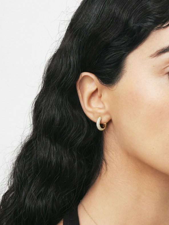 Daniel Wellington Dámske zlaté oceľové náušnice Daniel Wellington Circles