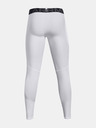 Under Armour Pánske legíny Under Armour HG Armour Leggings