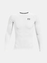 Under Armour Pánske tričko Under Armour HG Armour Comp LS