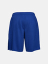 Under Armour Pánske kraťasy Under Armour Tech Mesh Short