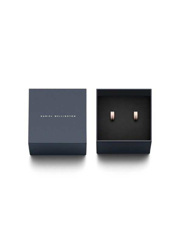 Daniel Wellington Daniel Wellington Oceľové náušnice DW00400148