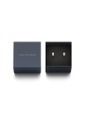Daniel Wellington Daniel Wellington Oceľové náušnice DW00400148