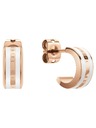 Daniel Wellington Daniel Wellington Oceľové náušnice DW00400148