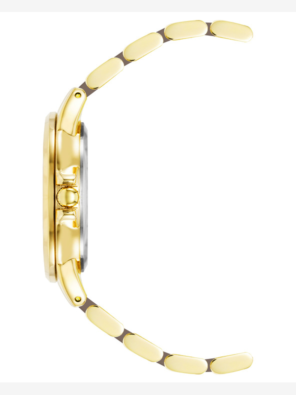 Anne Klein Anne Klein AK/ 4120TPGB dámske okrúhle hodinky