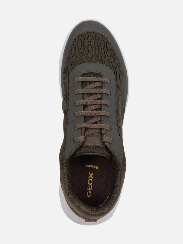 Geox Khaki pánske tenisky Geox Klaiver