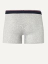 Celio Svetlošedé pánske opálené boxerky Celio Mike