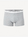 Celio Boxerky Celio Binormal
