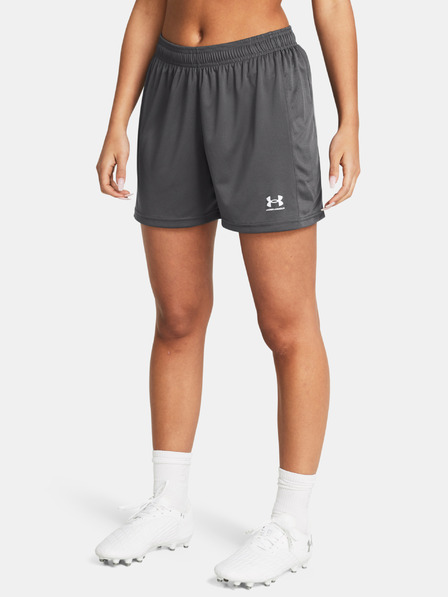 Under Armour Dámske kraťasy Under Armour UA W's Ch. Knit Short-GRY
