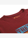 ALPINE PRO Pánske rýchloschnúce tričko s cool dry ALPINE PRO BOLEN 2 merlot variant pb