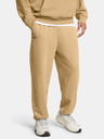 Under Armour Pánske športové nohavice Under Armour UA Icon HWT Flc Wash OS Pa
