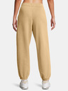 Under Armour Dámske športové nohavice Under Armour UA Icon HWT Flc OS Pant-BRN