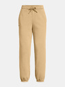 Under Armour Dámske športové nohavice Under Armour UA Icon HWT Flc OS Pant-BRN