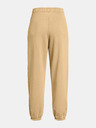 Under Armour Dámske športové nohavice Under Armour UA Icon HWT Flc OS Pant-BRN