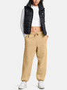 Under Armour Dámske športové nohavice Under Armour UA Icon HWT Flc OS Pant-BRN