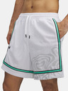 Under Armour Pánske kraťasy Under Armour Zone Pro 7in Mesh Shrt Prntd