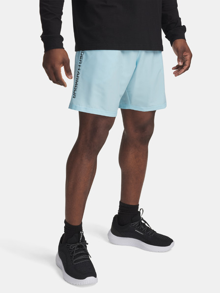 Under Armour Pánske kraťasy Under Armour UA Tech Woven Wordmark Short
